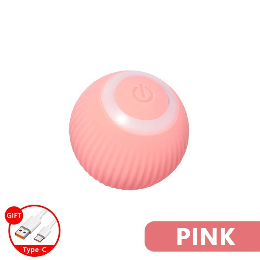 Interactive Ball Cat Toys