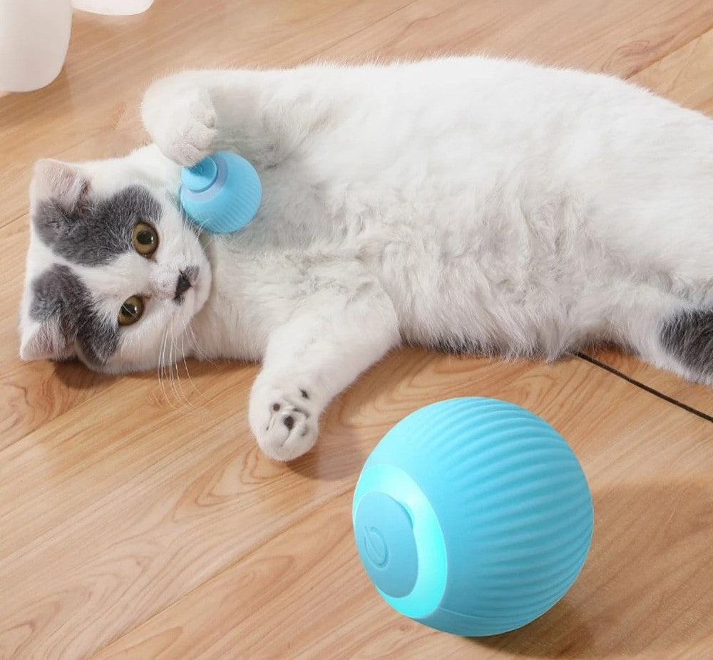 Best Smart Cat Toys Interactive Ball