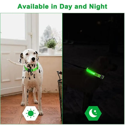 Best rechargeable light up dog collar