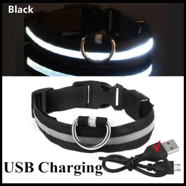 LED Glowing Dog Collar in Black