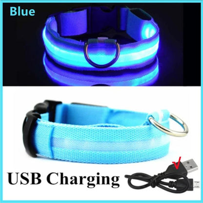 Blue LED Glowing Dog Collar