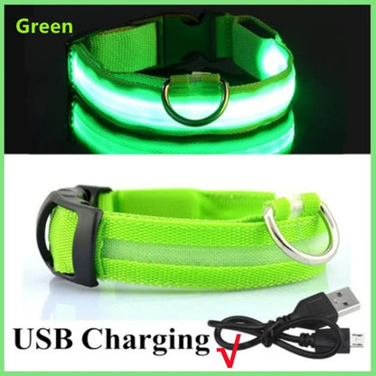 Green LED illuminated dog collar