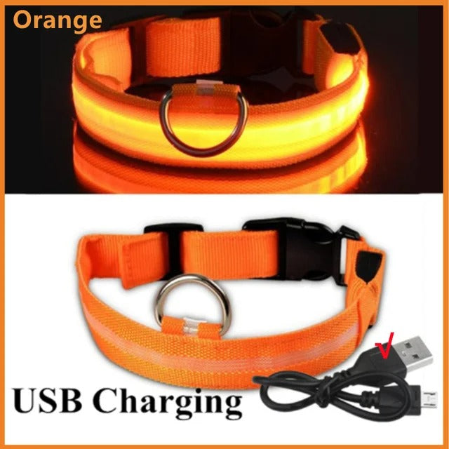 Orange LED Glowing Dog Collar