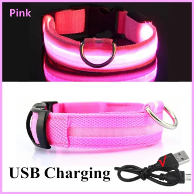 Pink LED dog collar