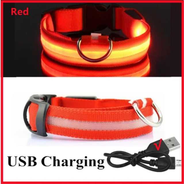 Red LED Glowing Dog Collar