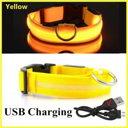 Yellow glowing led dog collar